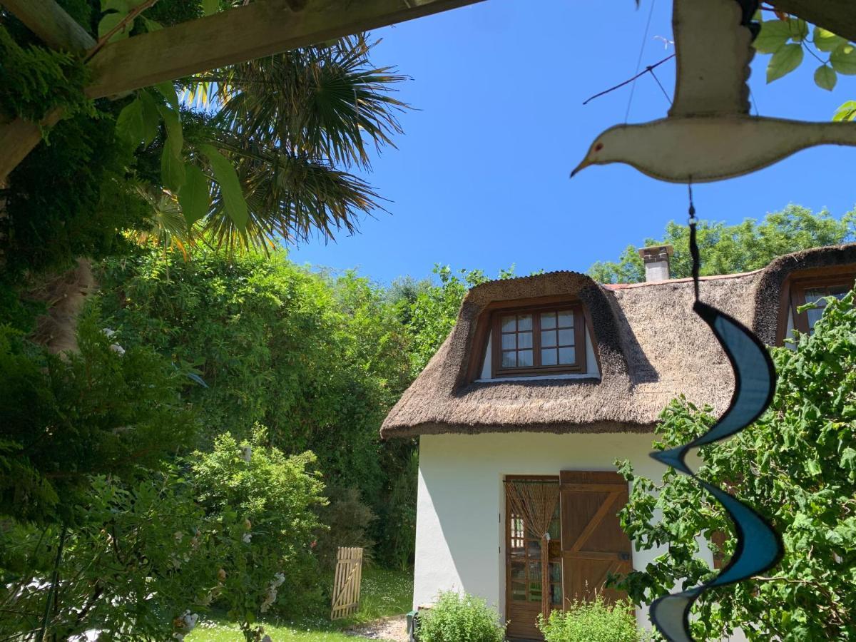 La Flore Marine Saint-Jouin-Bruneval Zewnętrze zdjęcie