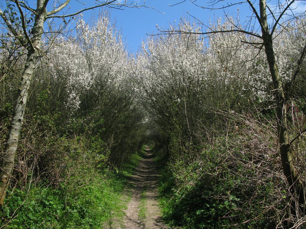 La Flore Marine Saint-Jouin-Bruneval Zewnętrze zdjęcie